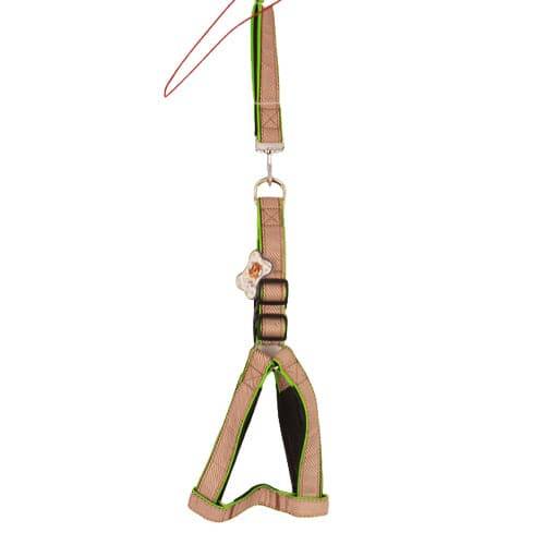 Dogs Harness