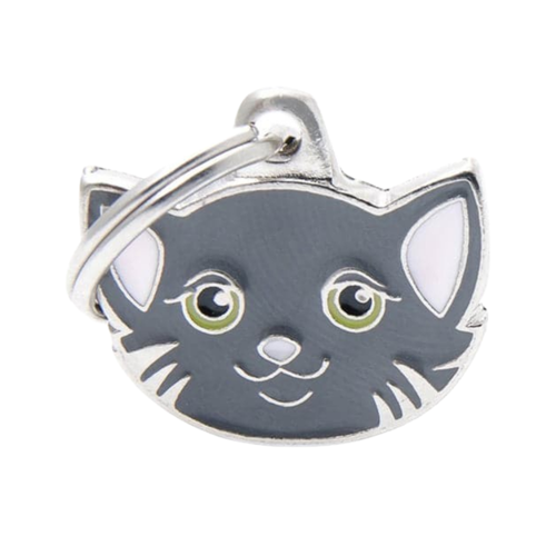 MF Tags TABBY EUROPEAN SHORTHAIR