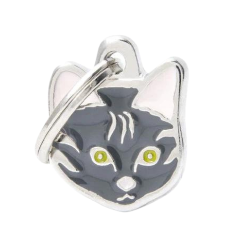 MF Tags TABBY EUROPEAN Shorthair