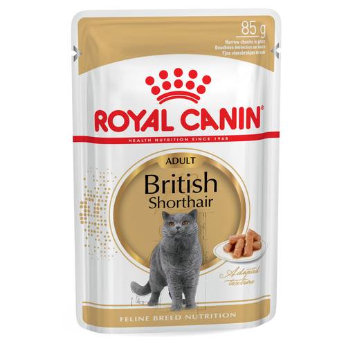 Royal Canin British Shorthair Wet Food in Gravy for Cats | 85g