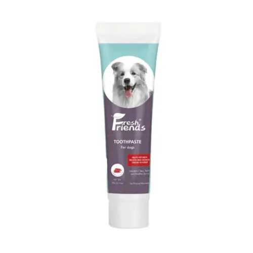 Fresh Friends Dog Toothpaste - Beef Flavor 90g
