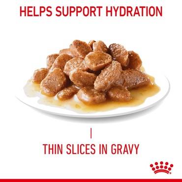 Royal Canin Hair and Skin Care Wet Food in Gravy for Cats | 85g