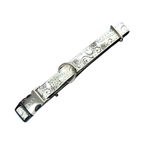 Zolux Envy Wild Forever Collar 10MM  White