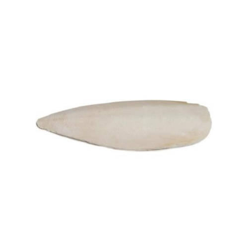 Prevue Pet Cuttlebone 25 Small Pcs with holder For Birds