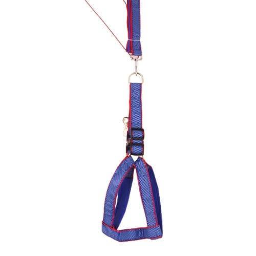 Dogs Harness