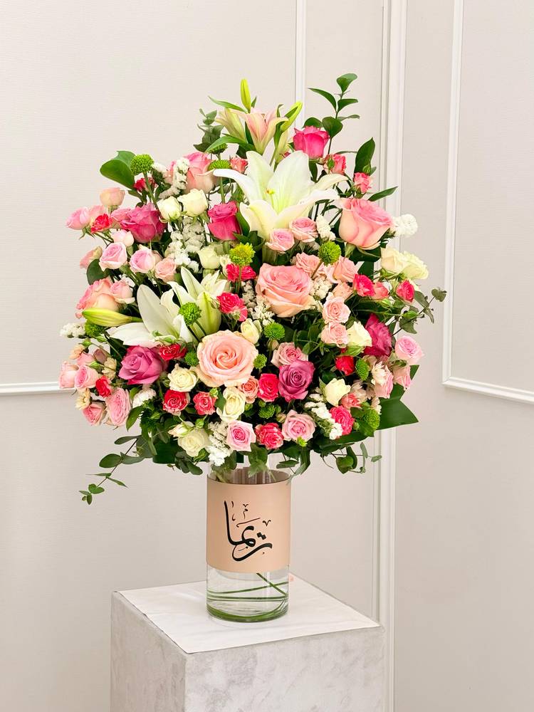 فازة غابات الامازون
