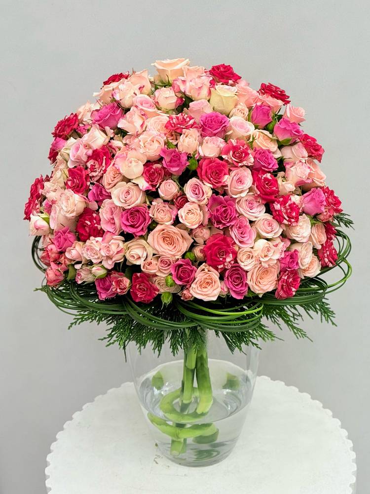 فازة هوليوود														