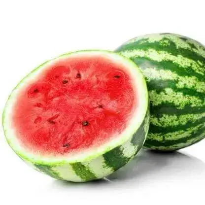 بذور البطيخ 