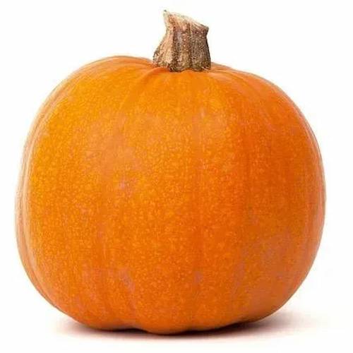 بذور القرع 