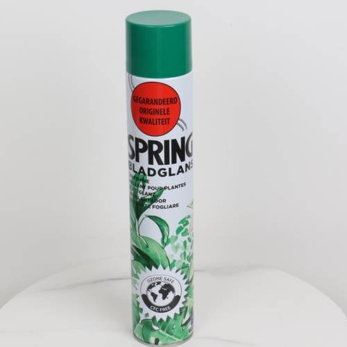 Indoor Plant Polishing Spray - Medium