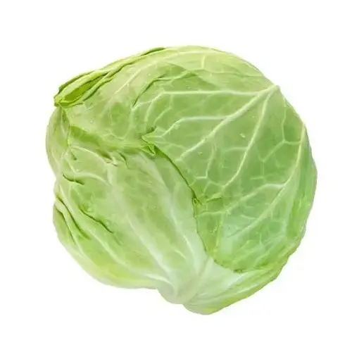 بذور الملفوف