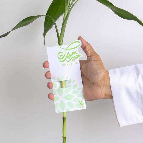 ساق البامبو ببطاقة معايدة