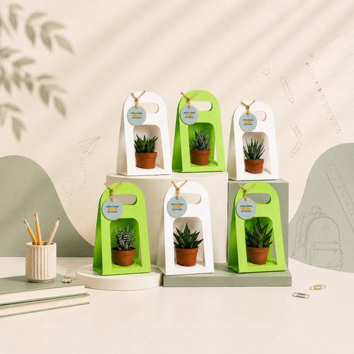 Back-to-School Favors Haworthia Plant