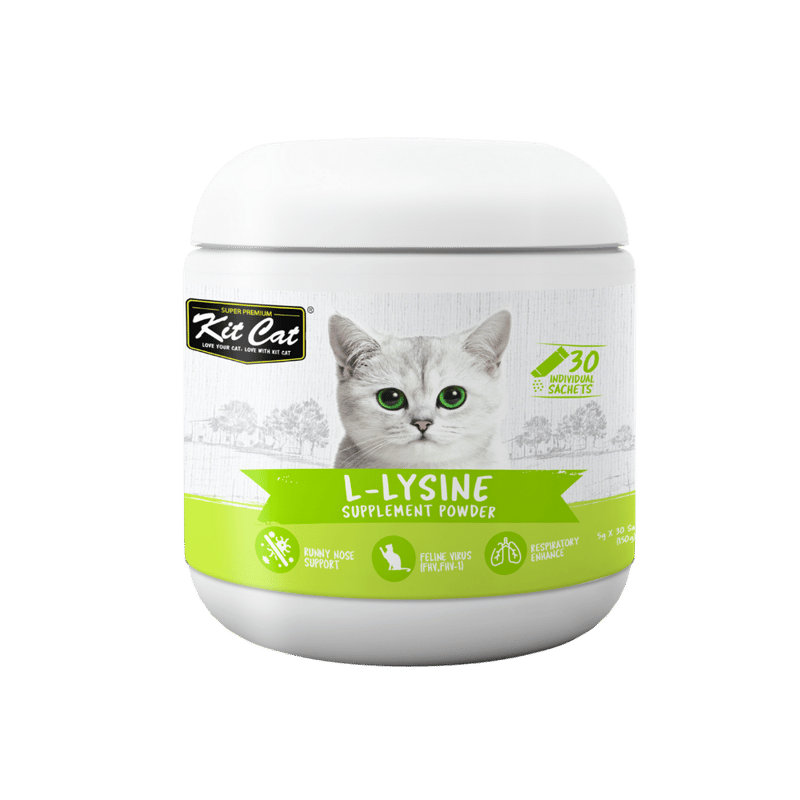 Kit Cat L-Lysine Dietary Supplement Powder for Respiratory Health for Cats – 30 Sachets × 5 g