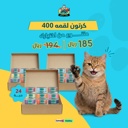 كرتون معلبات لقمه 400g