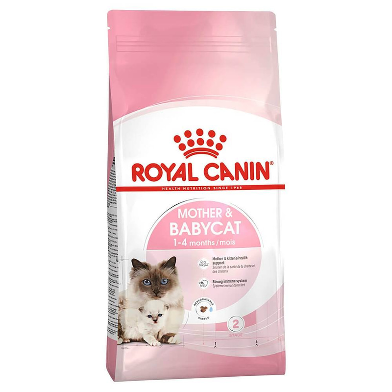 Royal Canin Baby Cat Dry Food for Mother and Child