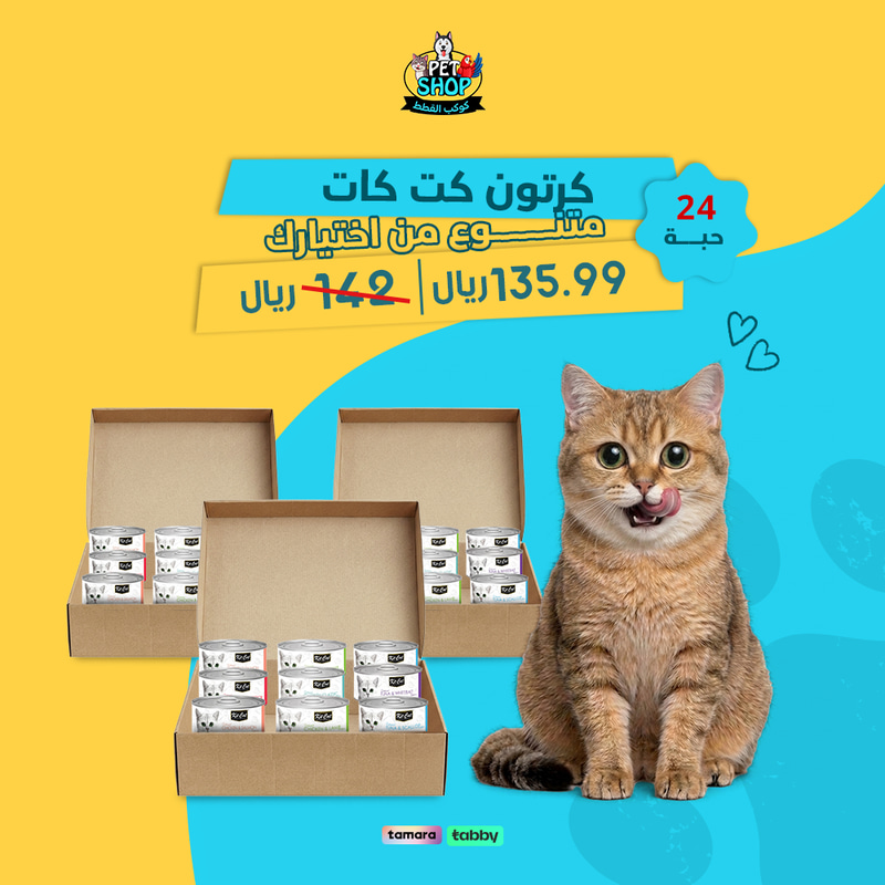 عرض كرتون معلبات كت كات 80g