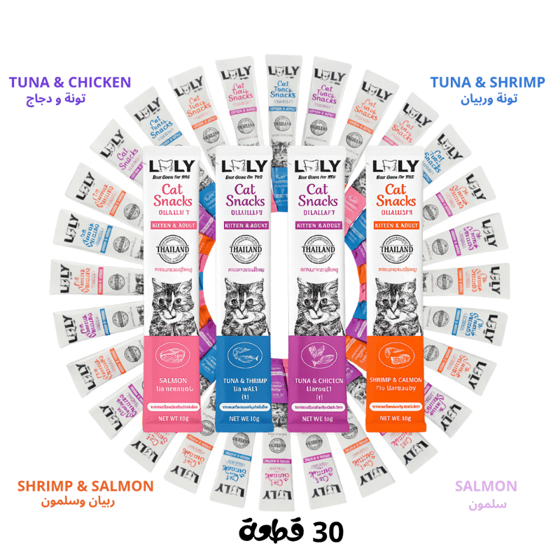 بهجة العيد للقطط