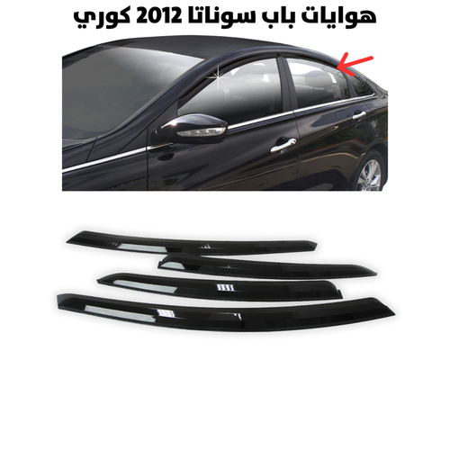 هوايات باب سوناتا 2012 كوري                           