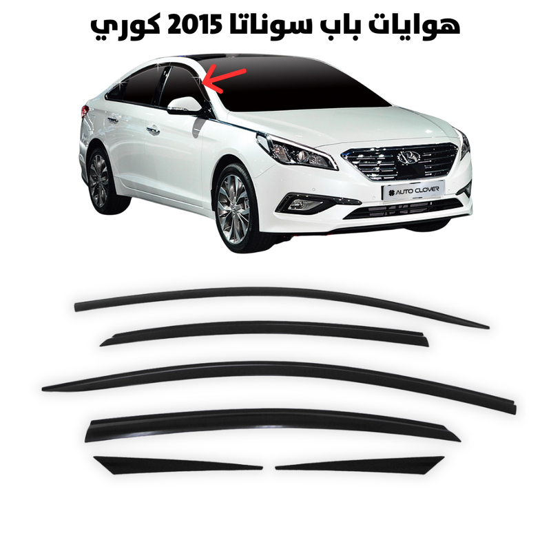 هوايات باب سوناتا 2015 كوري                            
