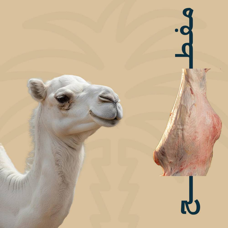 مفطح حاشي بلدي