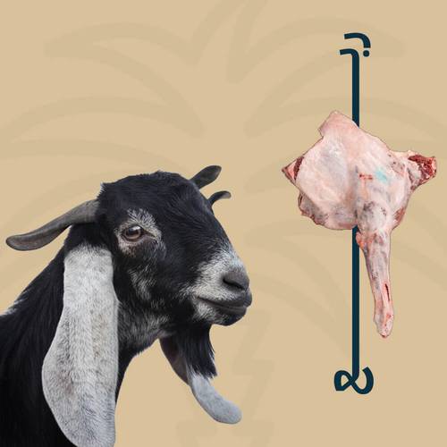 ربع تيس بلدي
