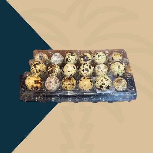 بيض السمان 18 حبه 