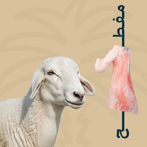 مفطح حري بلدي