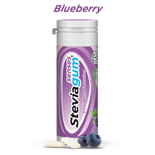 Stevia Gum Sugar Free 30gm - Blue Berry Mint
