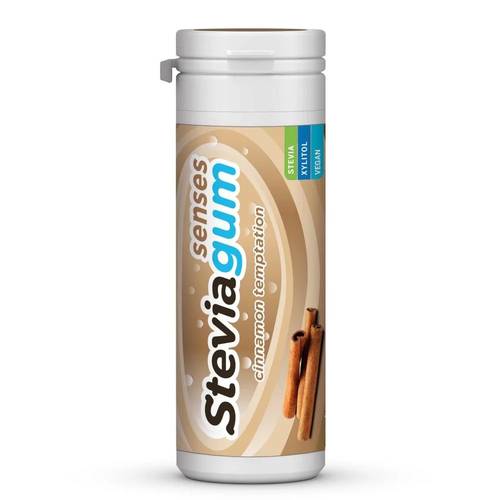 Stevia Gum Sugar Free 30gm - Cinnamon