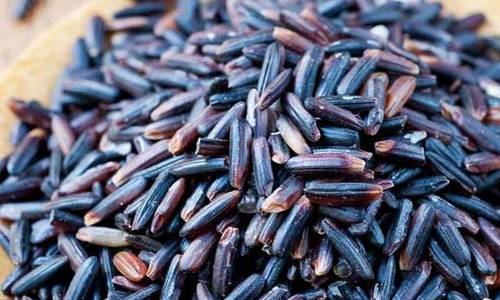 Black Champa Rice 1kg