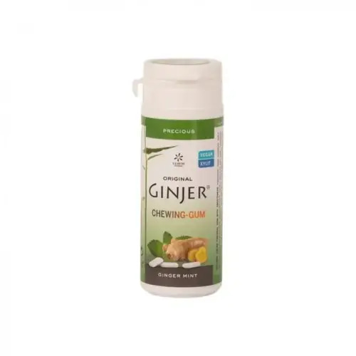 Ginjer Gum Sugar-Free Mint Ginger 30g