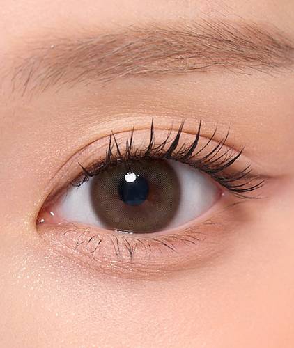 عدسات ملونة لنس مي إليقنت كوريا ستايل Lens me Elegant Korea Style Lenses