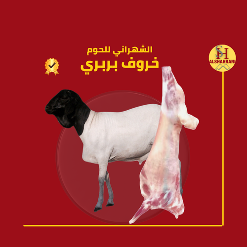 7 ك خروف بربري لباني