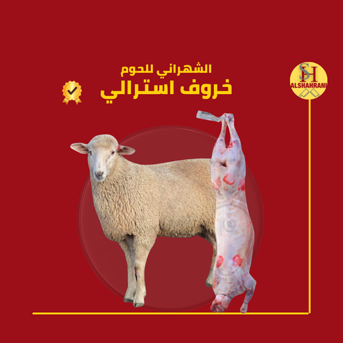 خروف استرالي 20 ك