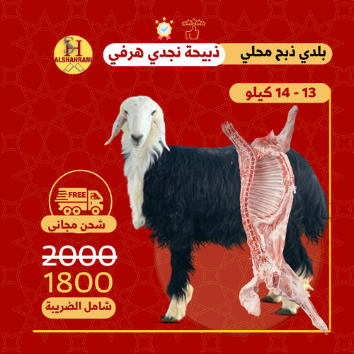 خروف نجدي بلدي وزنه من 13 الى 14 كيلو