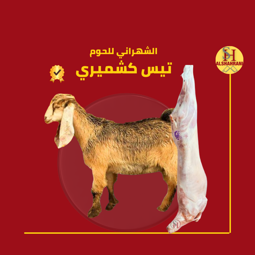 10 ك تيس كشميري 