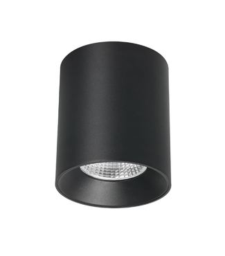 Black single round prominent ceiling frame