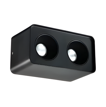 Black dual-linear surface-mounted ceiling frame