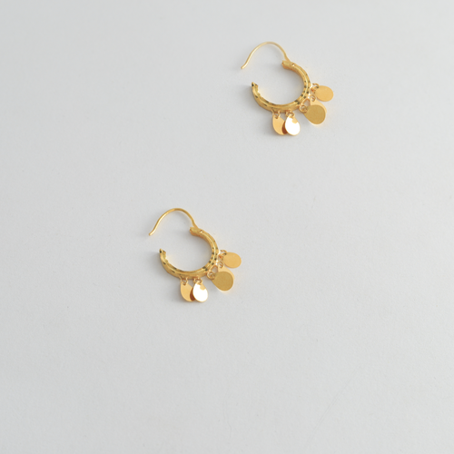 21 Carat Shimmering Earrings