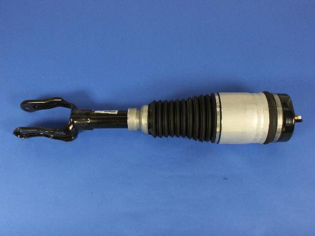 Air Suspension Spring And Shock Assembly