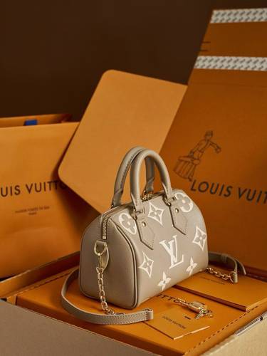 Louis Vuitton Speedy 20