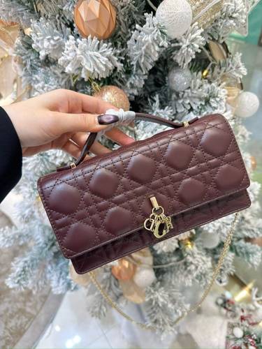 Dior bag
