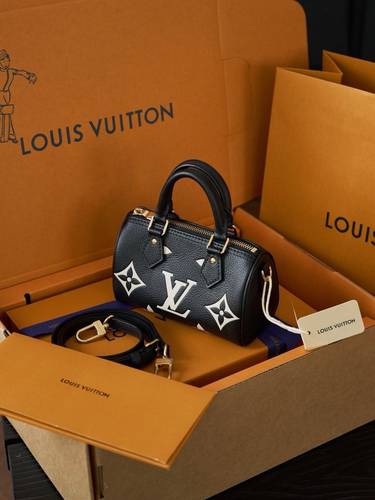 Louis Vuitton nano speedy
