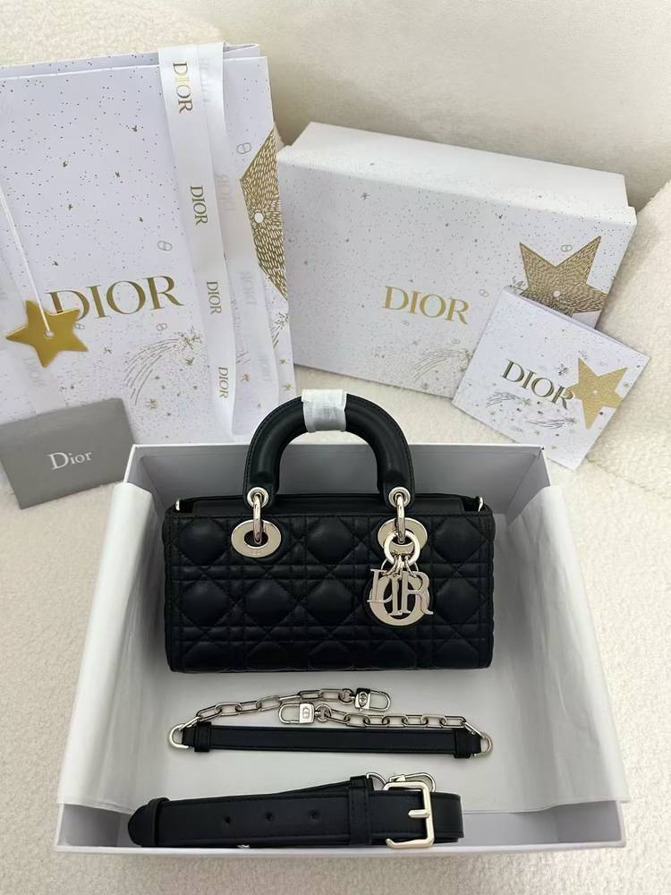 Dior lady D-Joy small matt 