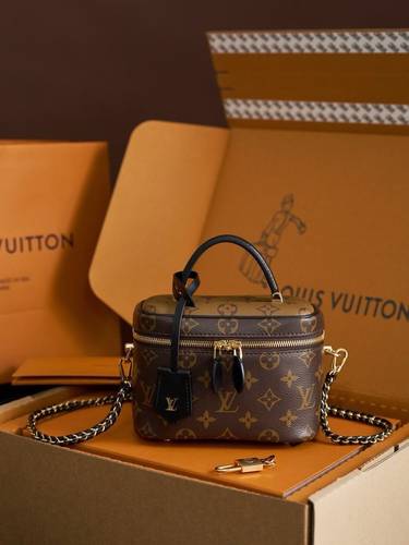 Louis Vuitton Vanity Chain Pouch bag