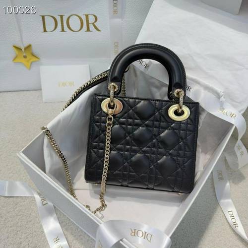 Lady Dior mini bag matt