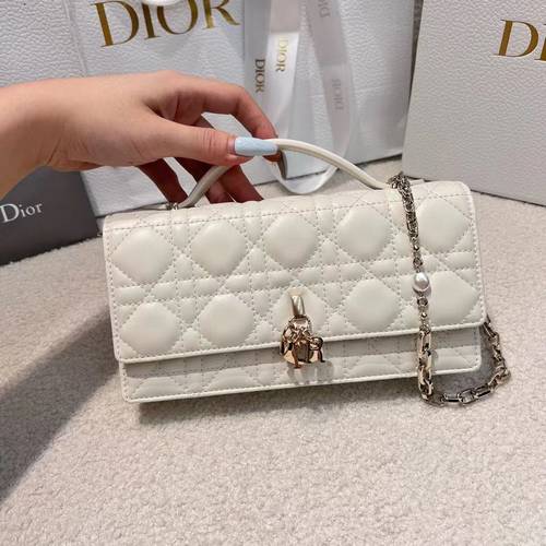 Dior bag