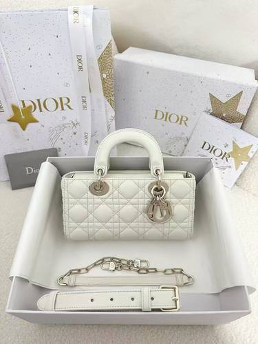 Dior lady D-Joy small matt 