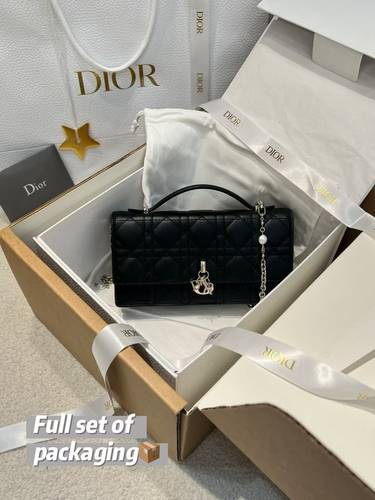 Dior bag